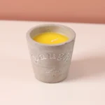 Citronella Scented Candle in Cement Pot