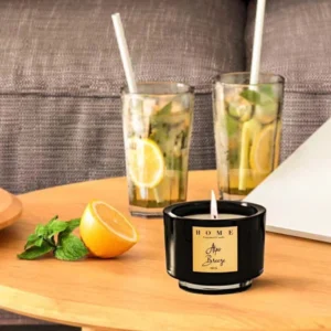 Renaissance 170G Scented Candle,Black Jar,Alps Breeze 9.5X9.5X10 cm